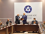 Эксперты ВАО АЭС рекомендовали шесть положительных практик Смоленской АЭС к использованию на АЭС России и мира