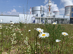 Более 60% энергопотребления Санкт-Петербурга и Ленинградской области обеспечила Ленинградская АЭС в июне 2022 года