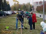 Курская АЭС: в городе Курчатове посажено 130 новых деревьев