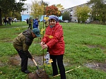 Смоленская АЭС: аллею из 100 деревьев высадили атомщики в рамках всероссийской акции движения «Зелёная Россия»