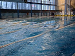 В плавательном бассейне Белоярской АЭС установлен рекорд России по подводному спорту