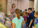На Балаковской АЭС прошли образовательные мероприятия для детей в рамках ежегодной летней просветительской программы