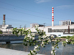 Города-спутники российских АЭС признаны лучшими по качеству городской среды в 2021 году
