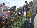 Белоярская АЭС высадила в г. Заречном более 30-ти тысяч цветов в рамках экологической акции «Цветущий атомград»
