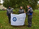 Смоленская АЭС: аллею из 100 деревьев высадили атомщики в рамках всероссийской акции движения «Зелёная Россия»