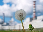 Смоленская АЭС: жаркая погода не повлияла на работу атомной станции