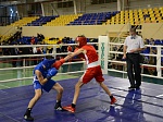 Турнир по боксу Балаковской АЭС посмотрели более 8000 зрителей 