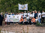 Нововоронежские атомщики приняли участие во Всероссийском экологическом субботнике «Зеленая весна» и Всероссийской акции «Зеленый лес»