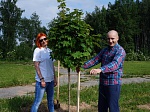 Коллектив «Смоленскатомэнергоремонта» принял участие в озеленении Атом-парка в Десногорске