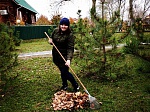 Работники и ветераны Ростовской АЭС высадили около полсотни деревьев в рамках экологической акции 