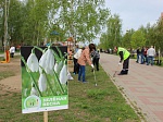 За 10 лет Смоленская АЭС вложила более 900 миллионов рублей в реализацию природоохранных мероприятий